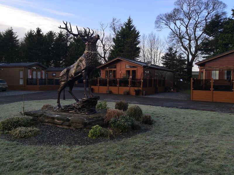 Silver Birch Auchterarder